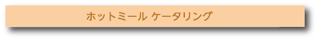 ホットミール ケータリング