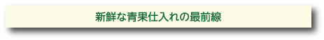 新鮮な成果仕入の最前線